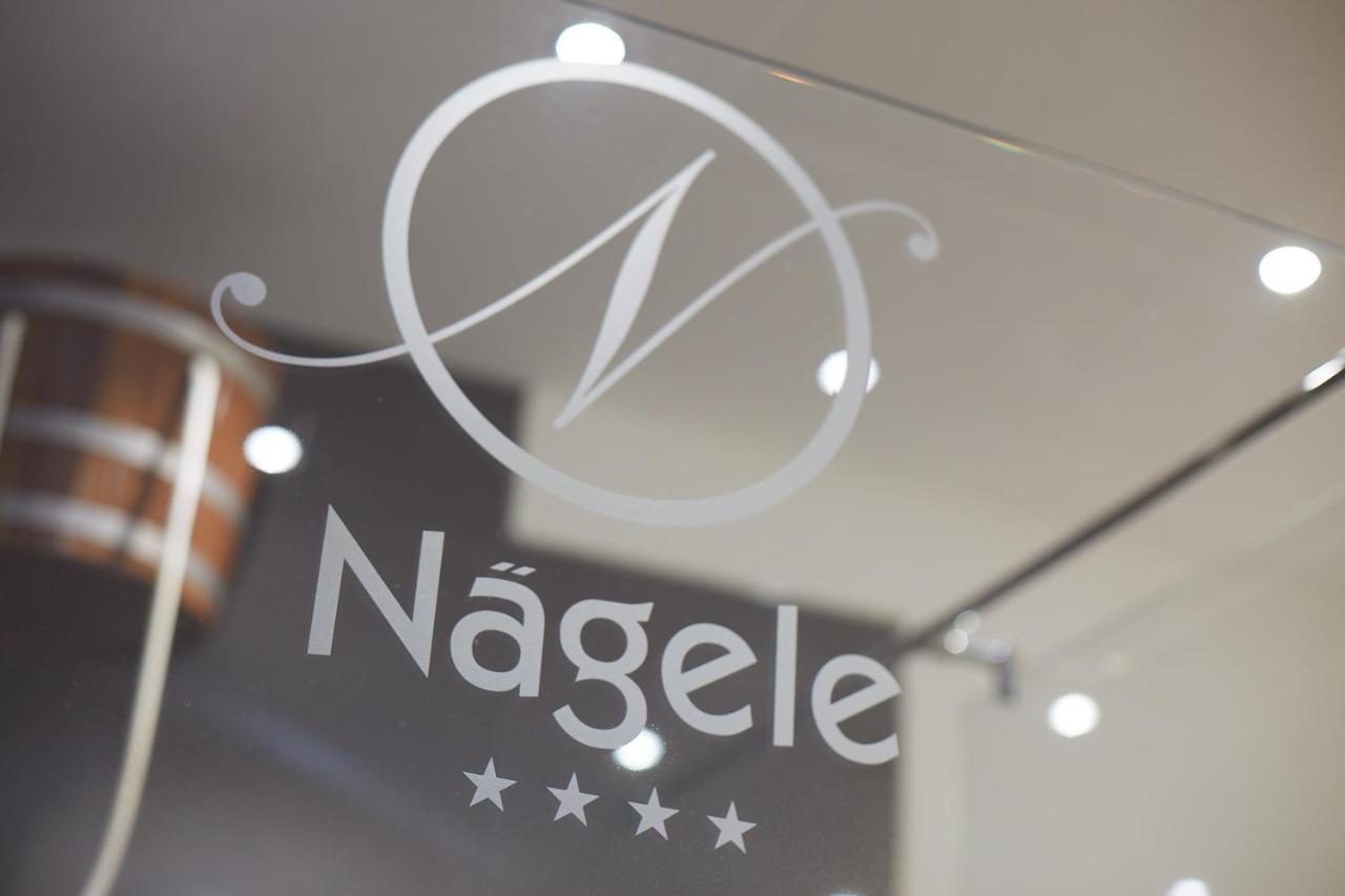 Wander- & Wellnesshotel Naegele 霍兴斯旺德 外观 照片